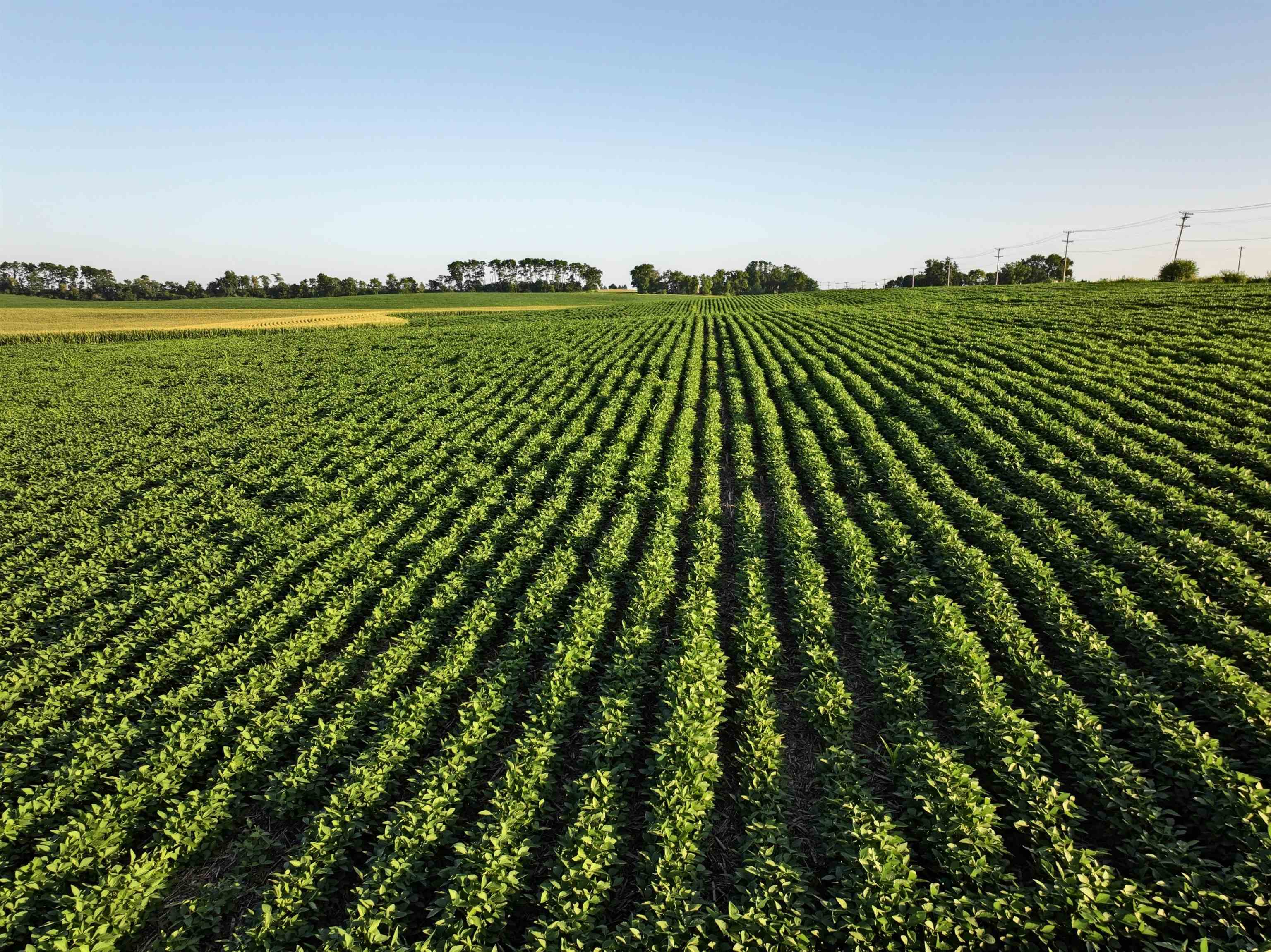 220.4 M/l Acres Highway Mount Horeb, WI 53572 - Photo 9 of 24