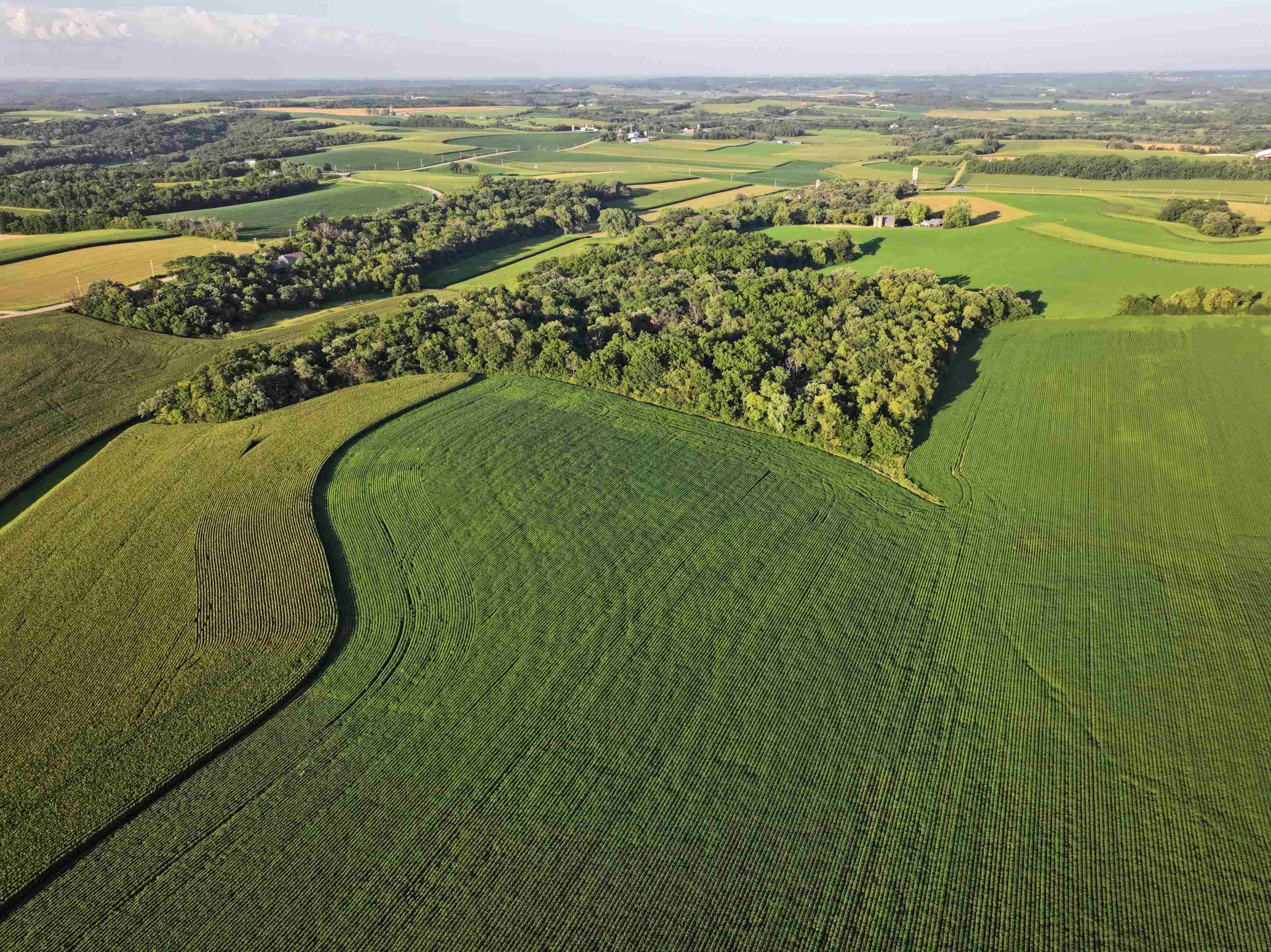 220.4 M/l Acres Highway Mount Horeb, WI 53572 - Photo 10 of 24