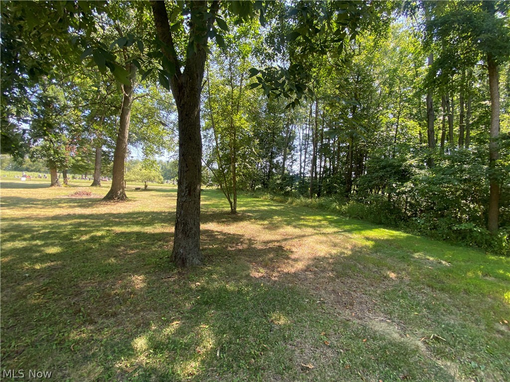 2445 South Elyria Road Wooster, OH 44691 - Photo 41 of 46 View of grassy yard