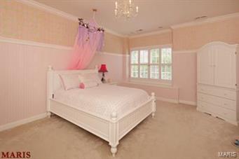 11220 Hunters Pond Road Creve Coeur, MO 63141 - Photo 19 of 26