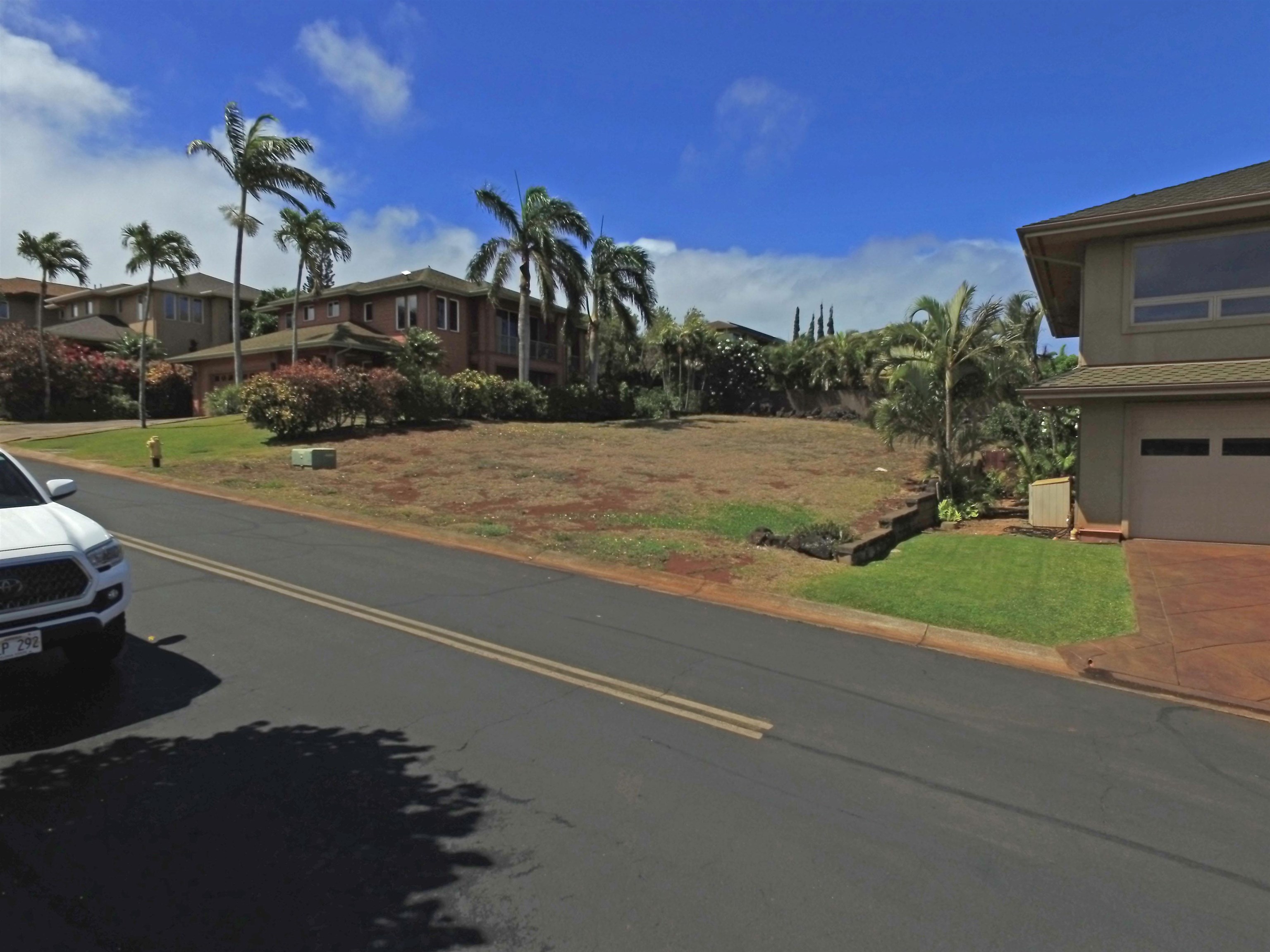 225 Kahana Ridge Drive, Unit 225 KAHANA RIDGE DR Lahaina, HI 96761 - Photo 9 of 15 a view of a street with houses