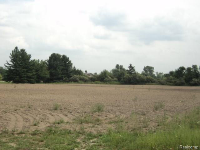 5519 Shoefelt Road North Street, MI 48049 - Photo 19 of 31 New Pictures 004.jpg