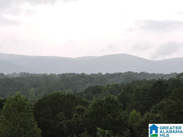 1328 Good Hope Delta Road Delta, AL 36258 - Photo 20 of 24