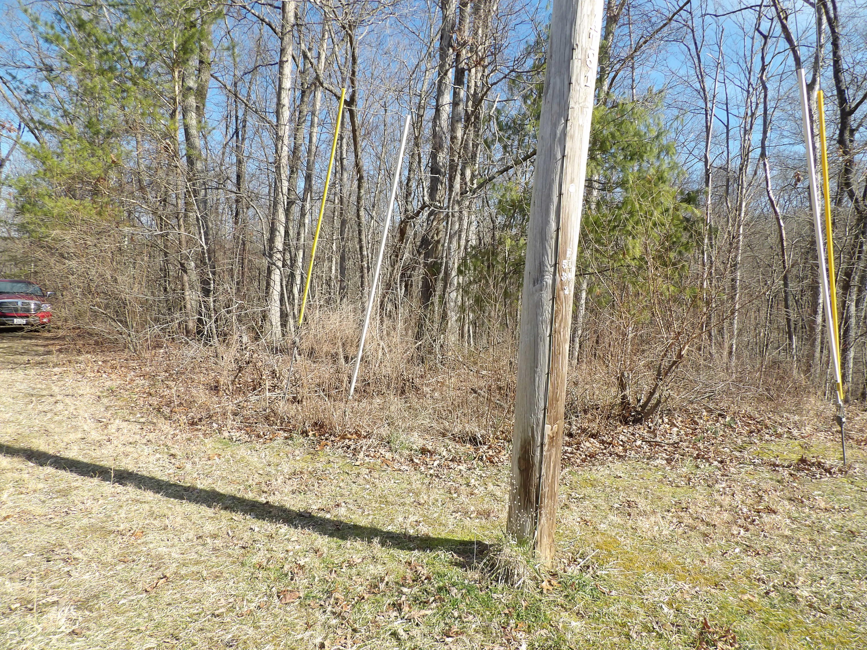 0 Pine Ave Spring, Unit 7 Spring City, TN 37381 - Photo 10 of 10 100_0584