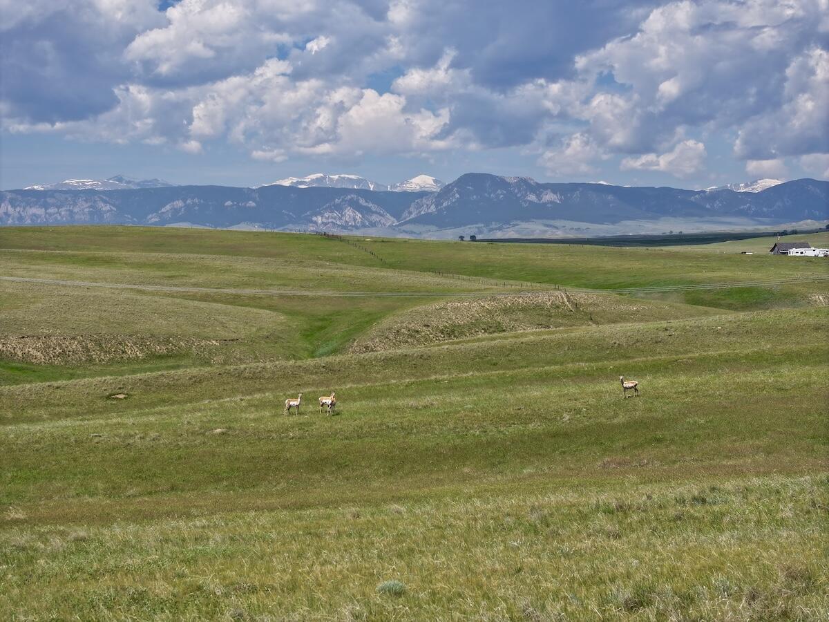 5 Trabing Road Buffalo, WY 82834 - Photo 10 of 19 16 copy