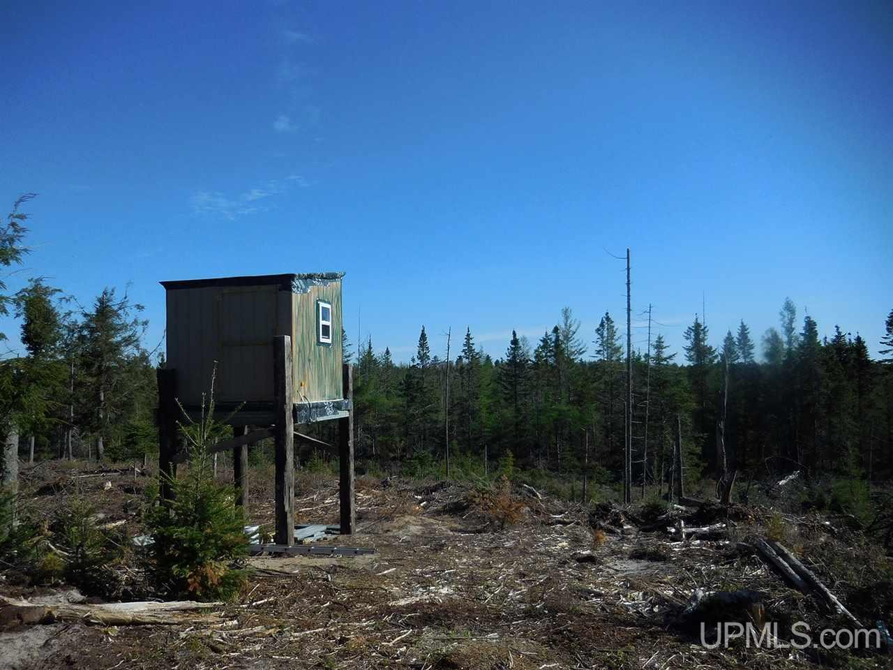1480 Acres On Co Road Manistique, MI 49854 - Photo 11 of 49
