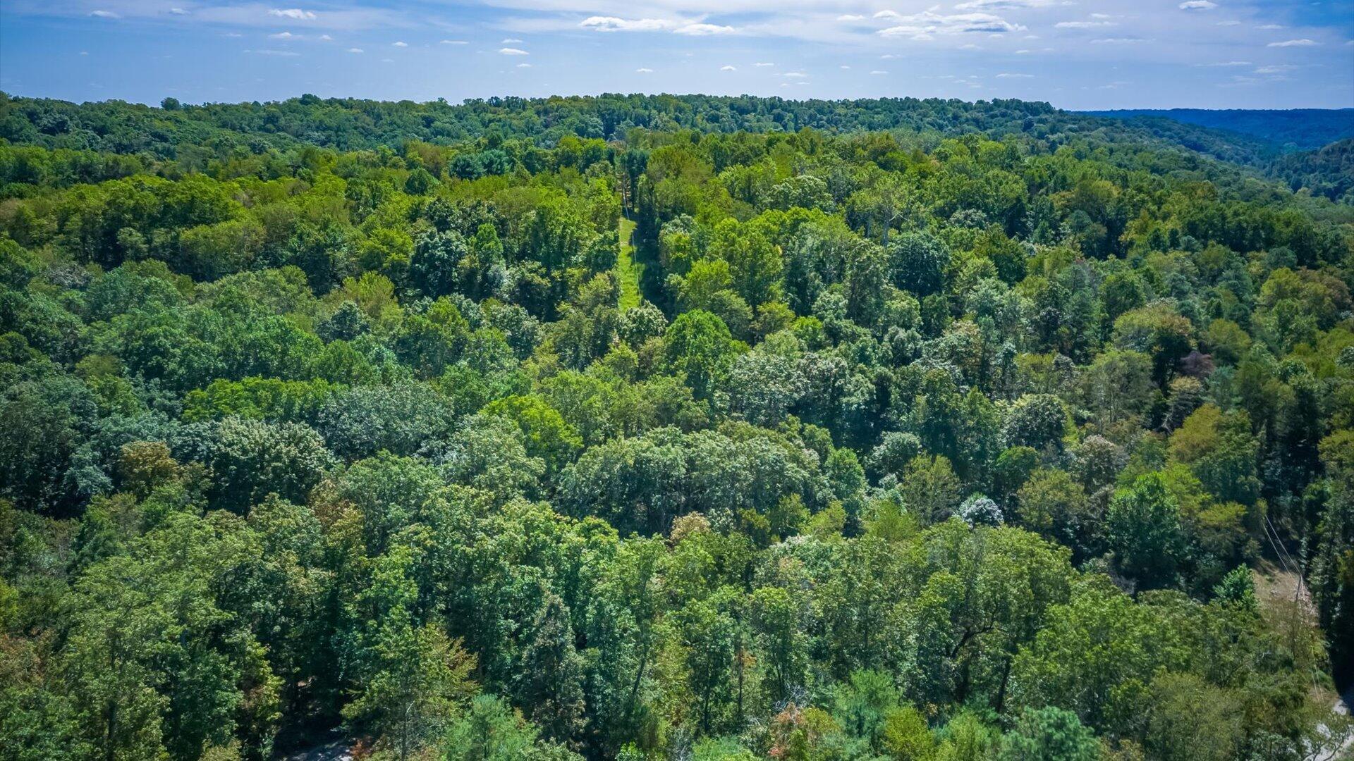 17-zj Paradise Rd.016-2