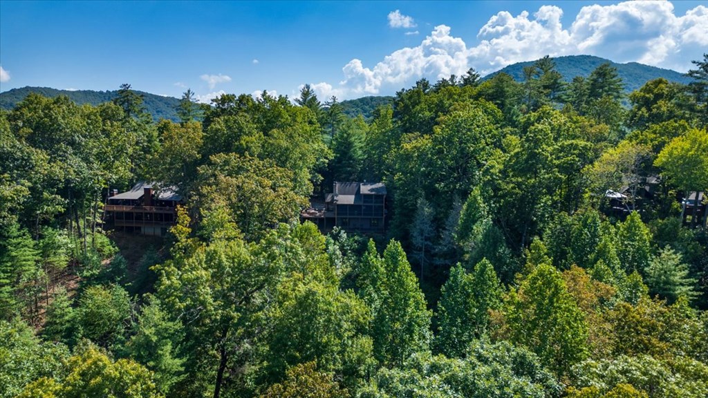 244 Indian Ridge Road Epworth, GA 30541 - Photo 13 of 47 a view of a flower in a garden