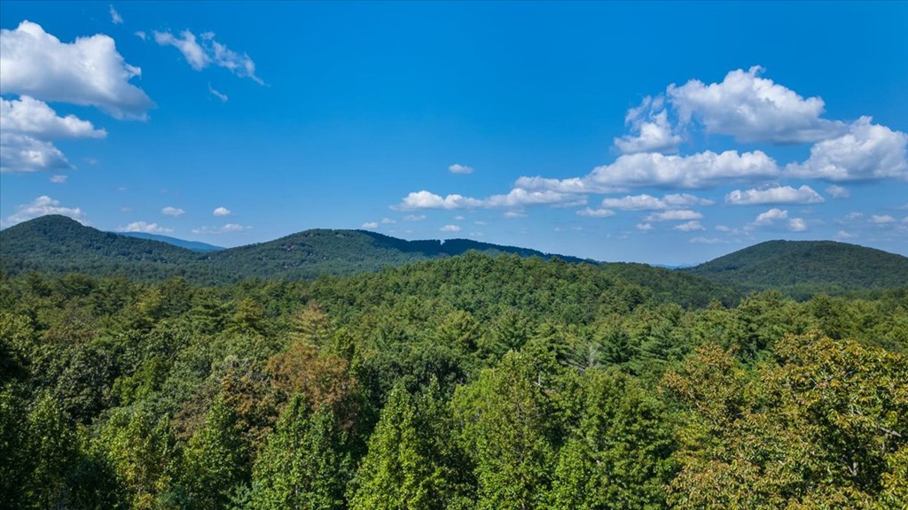 244 Indian Ridge Road Epworth, GA 30541 - Photo 14 of 47 a view of a city and mountains in the background