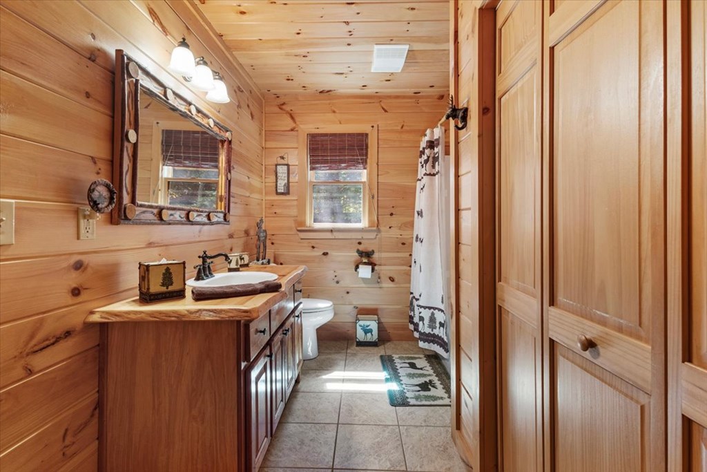 244 Indian Ridge Road Epworth, GA 30541 - Photo 27 of 47 a bathroom with a sink a toilet and shower
