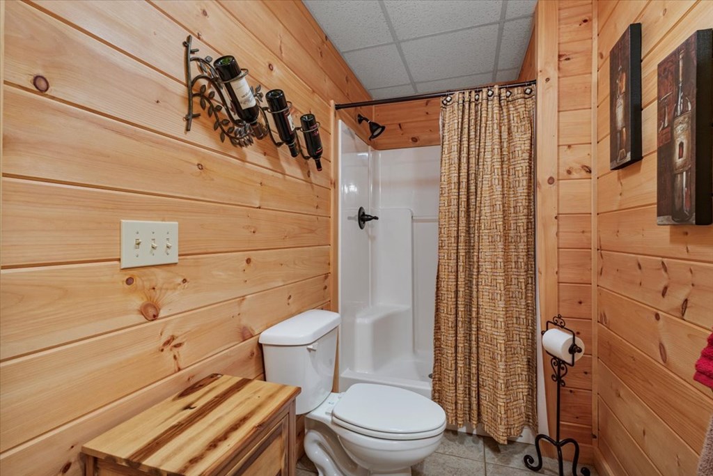 244 Indian Ridge Road Epworth, GA 30541 - Photo 47 of 47 a bathroom with a toilet and shower