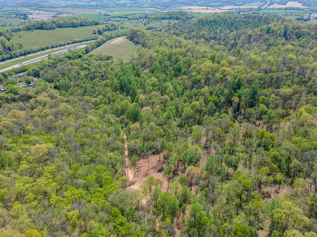 0 Williams Road Cornersville, TN 37047 - Photo 7 of 7 Gallery Image 7
