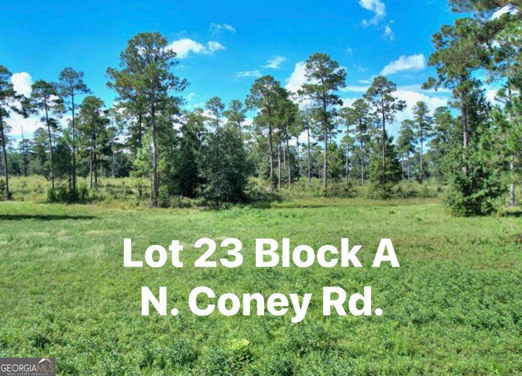 0 North Coney Rd Lot 23 Block A Cordele, GA 31015 - Photo 1 of 11