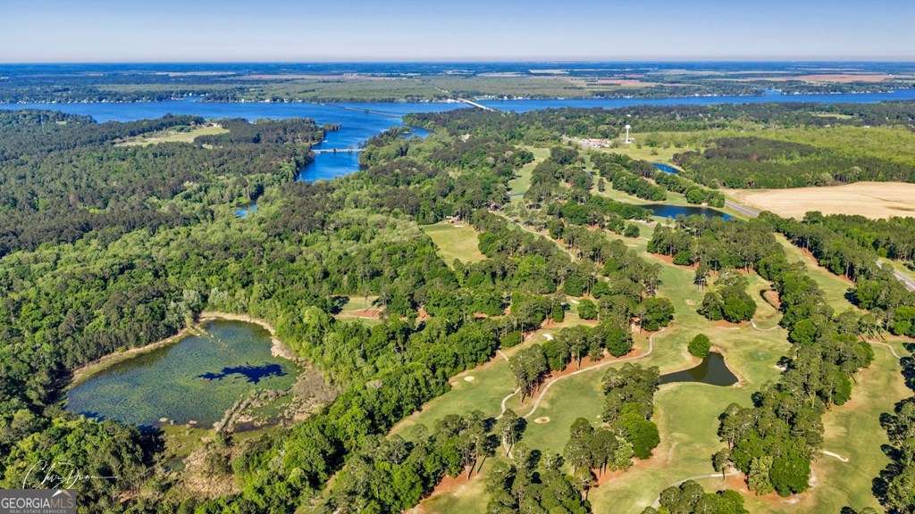 0 North Coney Rd Lot 23 Block A Cordele, GA 31015 - Photo 6 of 11