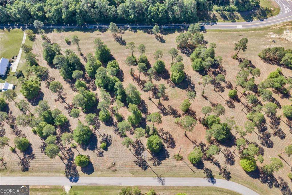 0 North Coney Rd Lot 23 Block A Cordele, GA 31015 - Photo 8 of 11