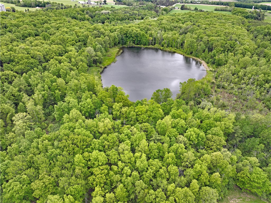 4172 State Route Penn Yan, NY 14527 - Photo 14 of 20