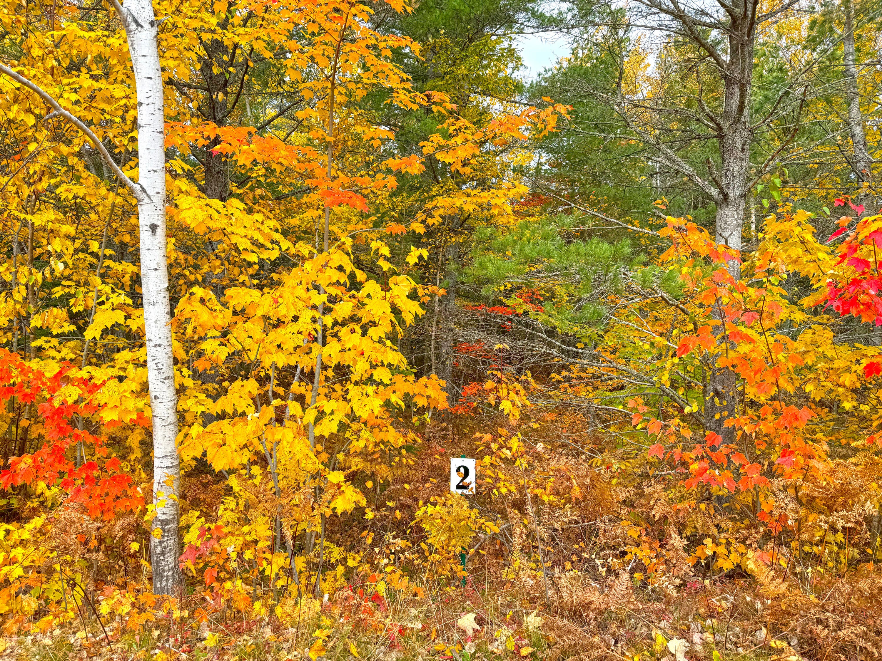 14859 North Whitefish Point Road Paradise, MI 49768 - Photo 2 of 14 Gallery Image 2
