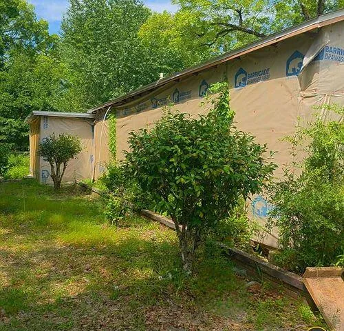 a backyard of a house with lots of green space and plants