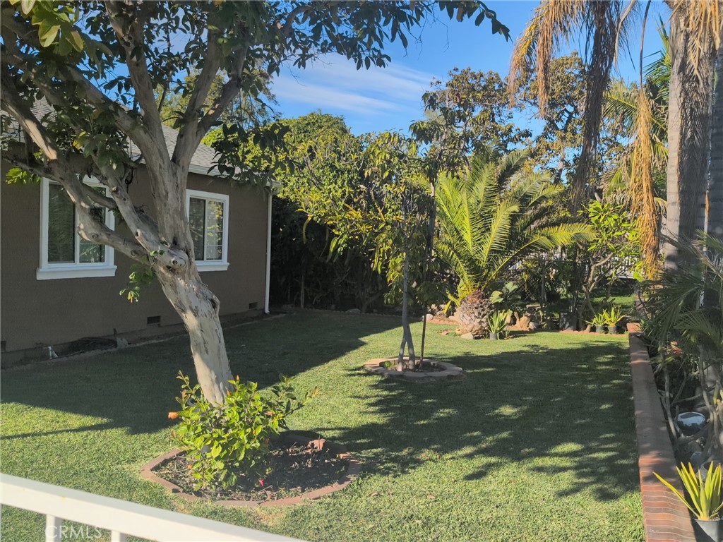 10915 Carmenita Road Whittier, CA 90605 - Photo 5 of 15 a view of a tree in a yard