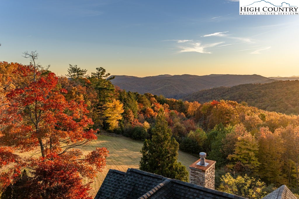 3664 Elk Ridge Road Ferguson, NC 28624 - Photo 8 of 46 a view of city and mountain