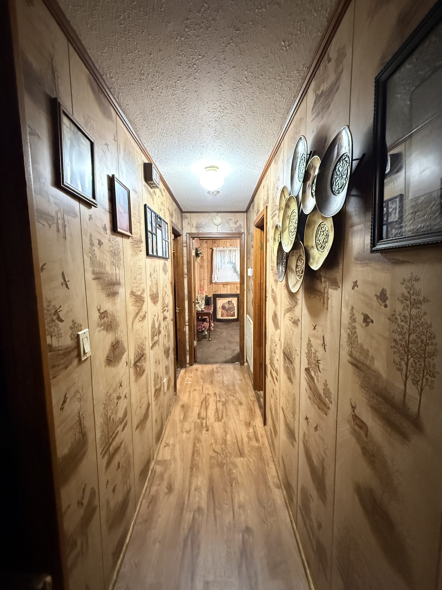 12 Elora Church Road Elora, TN 37328 - Photo 25 of 28