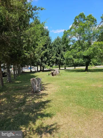 a view of a trees in a park