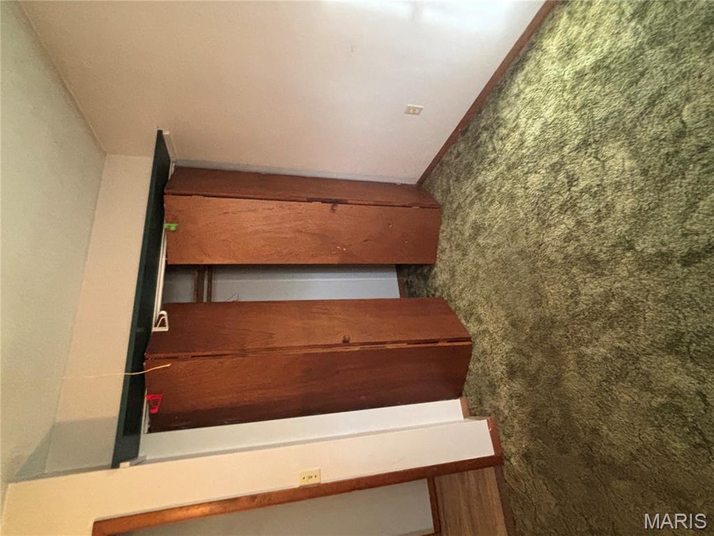 1009 East Main Street Mulberry Grove, IL 62262 - Photo 10 of 25