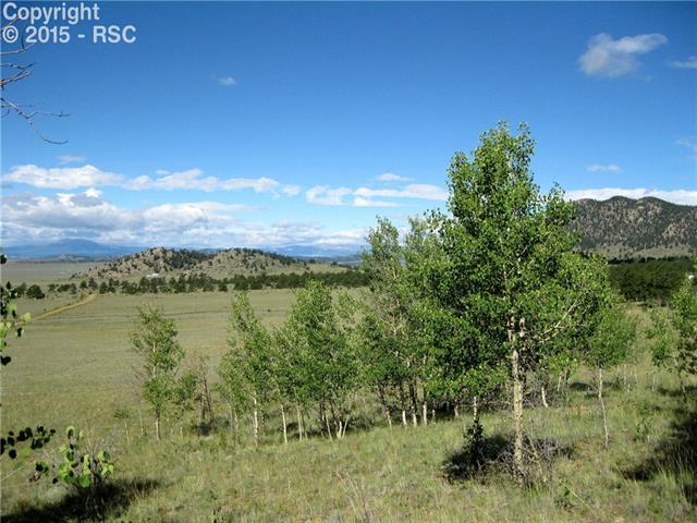 7877 Boulder Road Lake George, CO 80827 - Photo 22 of 25 Gallery Image 22