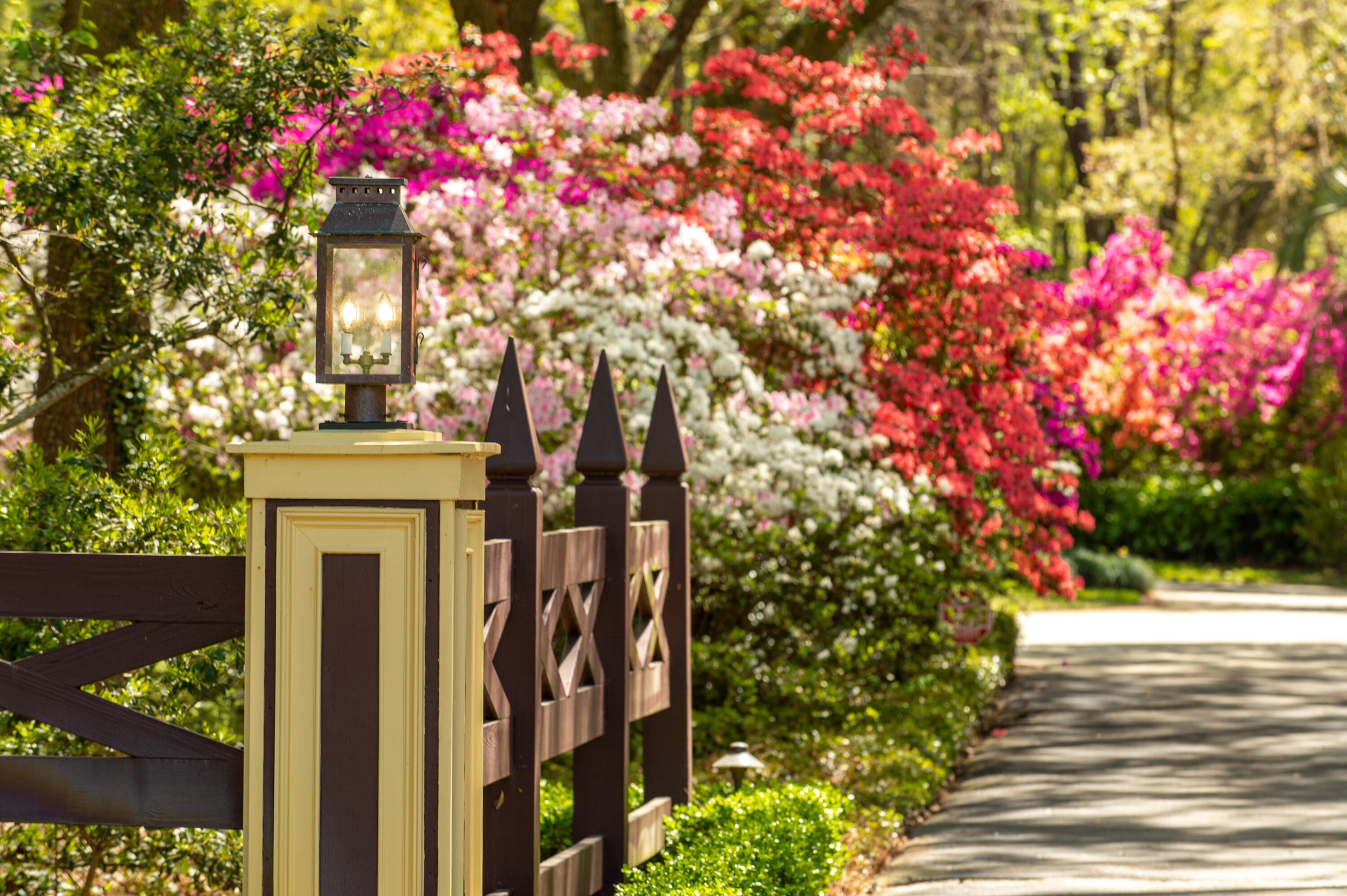 6016 Chisolm Road Johns Island, SC 29455 - Photo 82 of 93 6016 Chisolm Road_Low Res-20