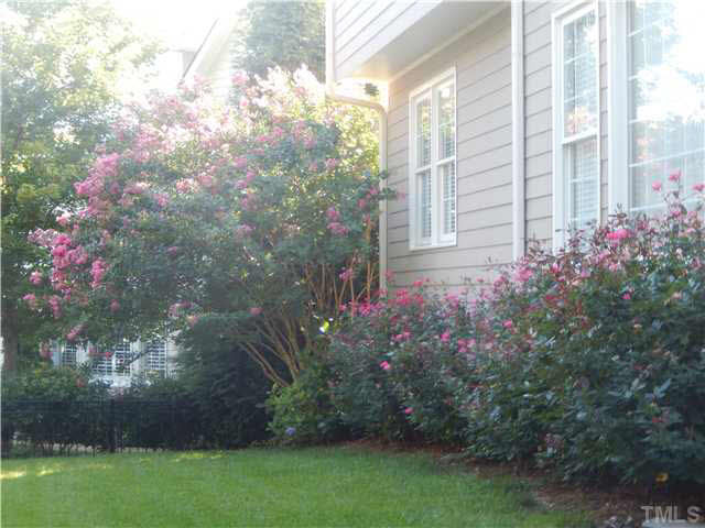 11837 Lowery Ridge Drive Raleigh, NC 27614 - Photo 22 of 24 Back Yard