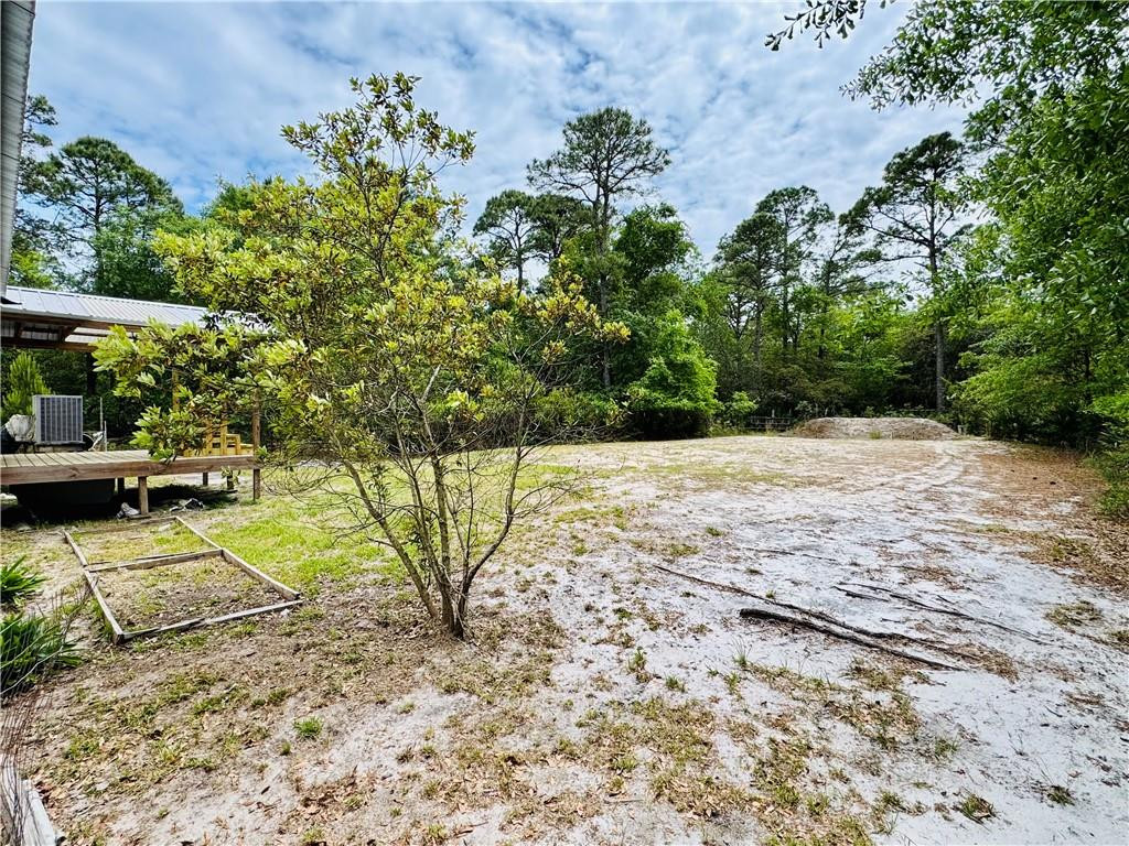 5062 Lampadoshia Road Waverly, GA 31565 - Photo 4 of 25 Back Yard
