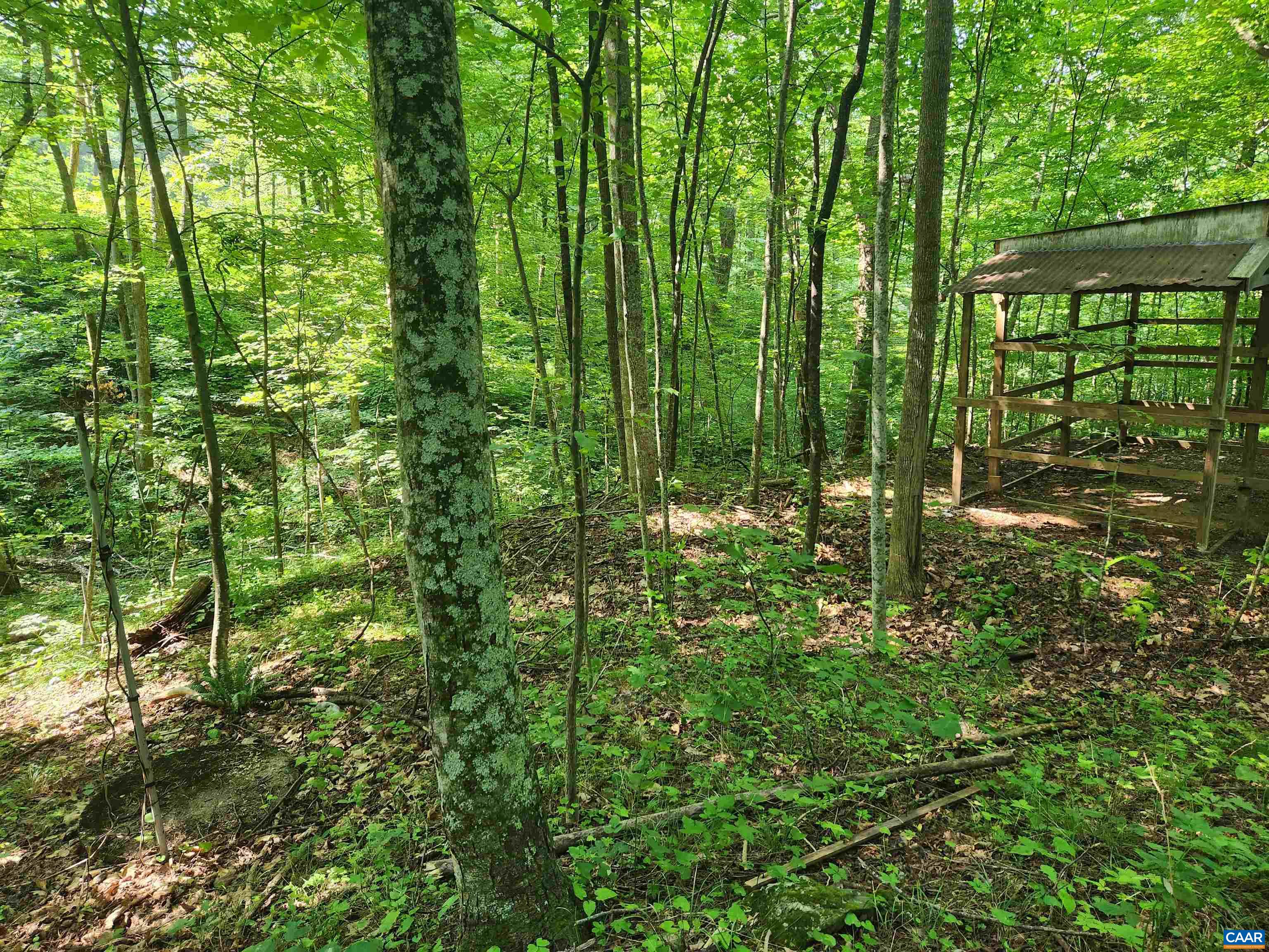 79 Revenooer Road Madison, VA 22727 - Photo 21 of 54 Gallery Image 21