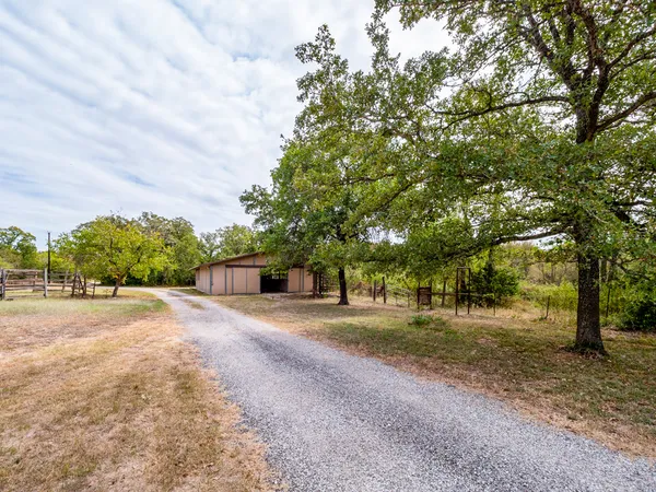 a view of dirt yard with a trees