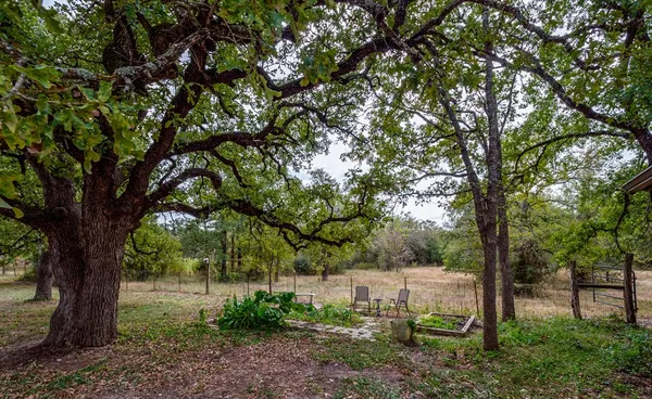 $895,000 | 298 Jenkins Road, Cedar Creek, TX 78612