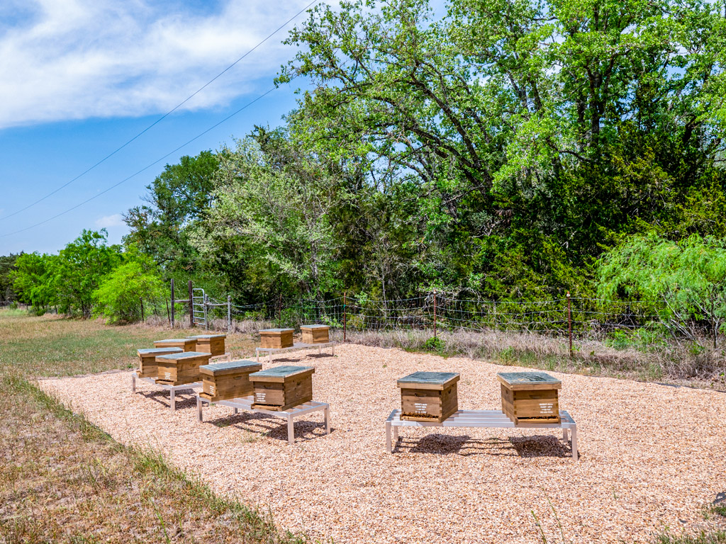 298 Jenkins Road Cedar Creek, TX 78612 - Photo 6 of 40 a backyard of a house with outdoor seating