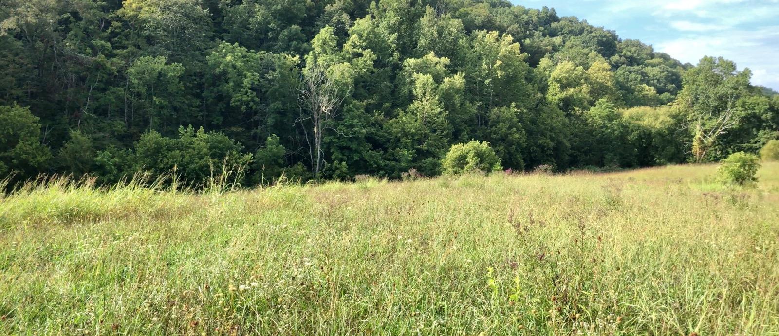2571 Hinds Creek Road Heiskell, TN 37754 - Photo 6 of 8 2020-08-27 (1)