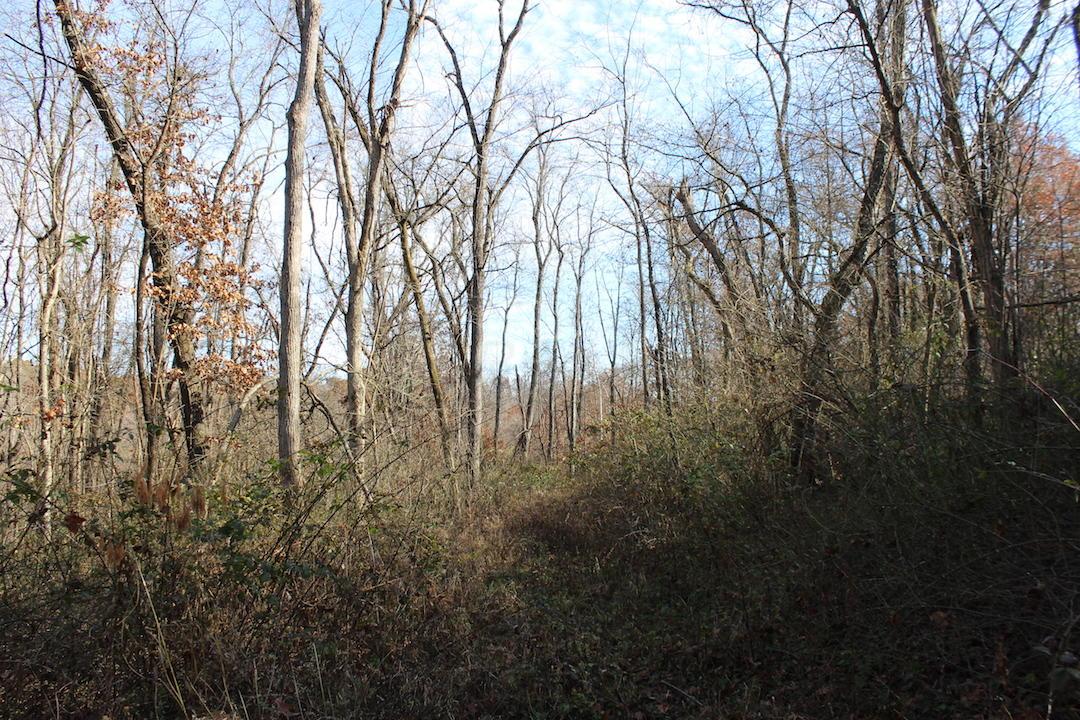0 Ford Rd Mount Zanesville, OH 43701 - Photo 11 of 35