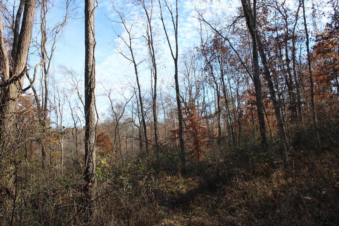 0 Ford Rd Mount Zanesville, OH 43701 - Photo 12 of 35