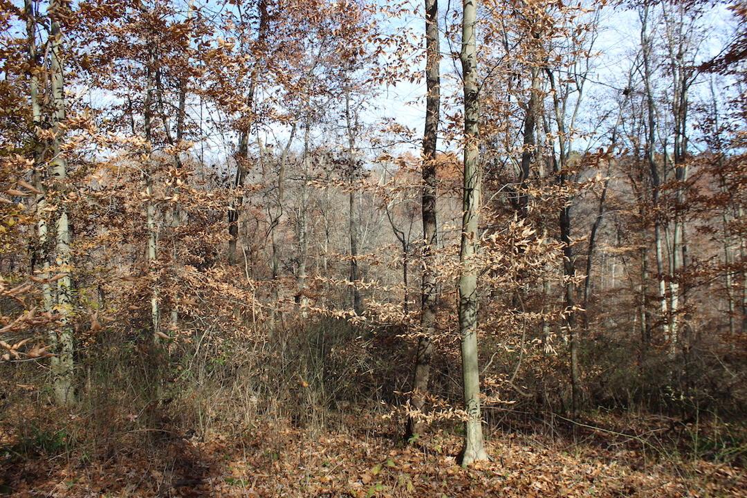 0 Ford Rd Mount Zanesville, OH 43701 - Photo 14 of 35