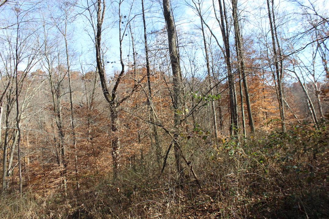 0 Ford Rd Mount Zanesville, OH 43701 - Photo 16 of 35
