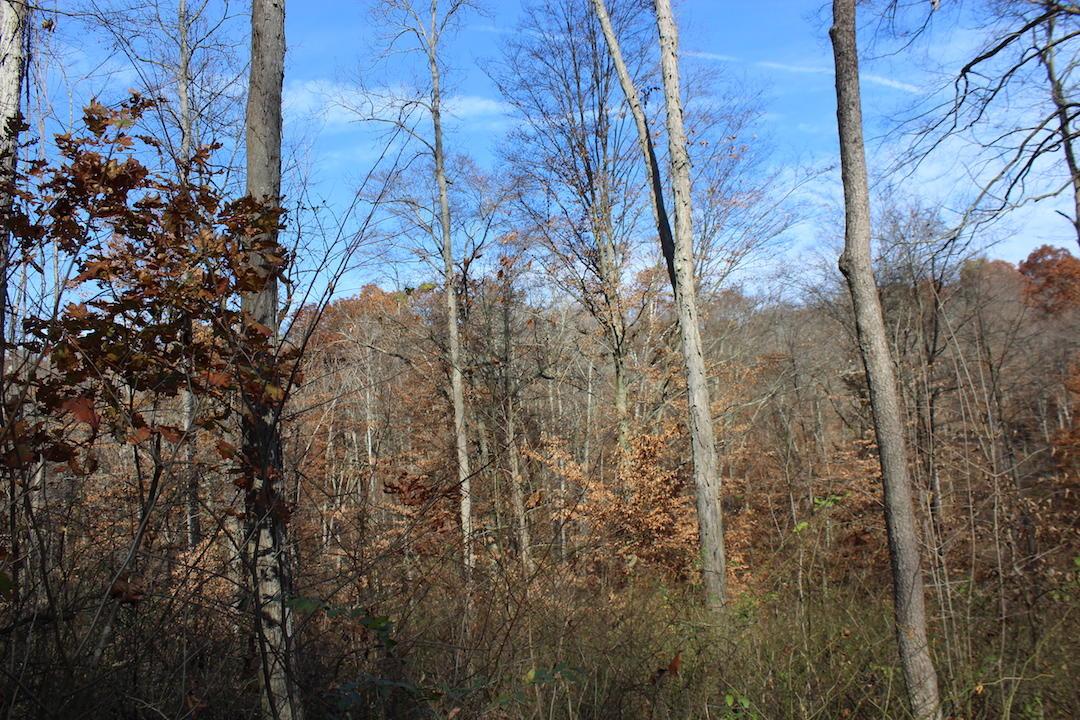 0 Ford Rd Mount Zanesville, OH 43701 - Photo 17 of 35
