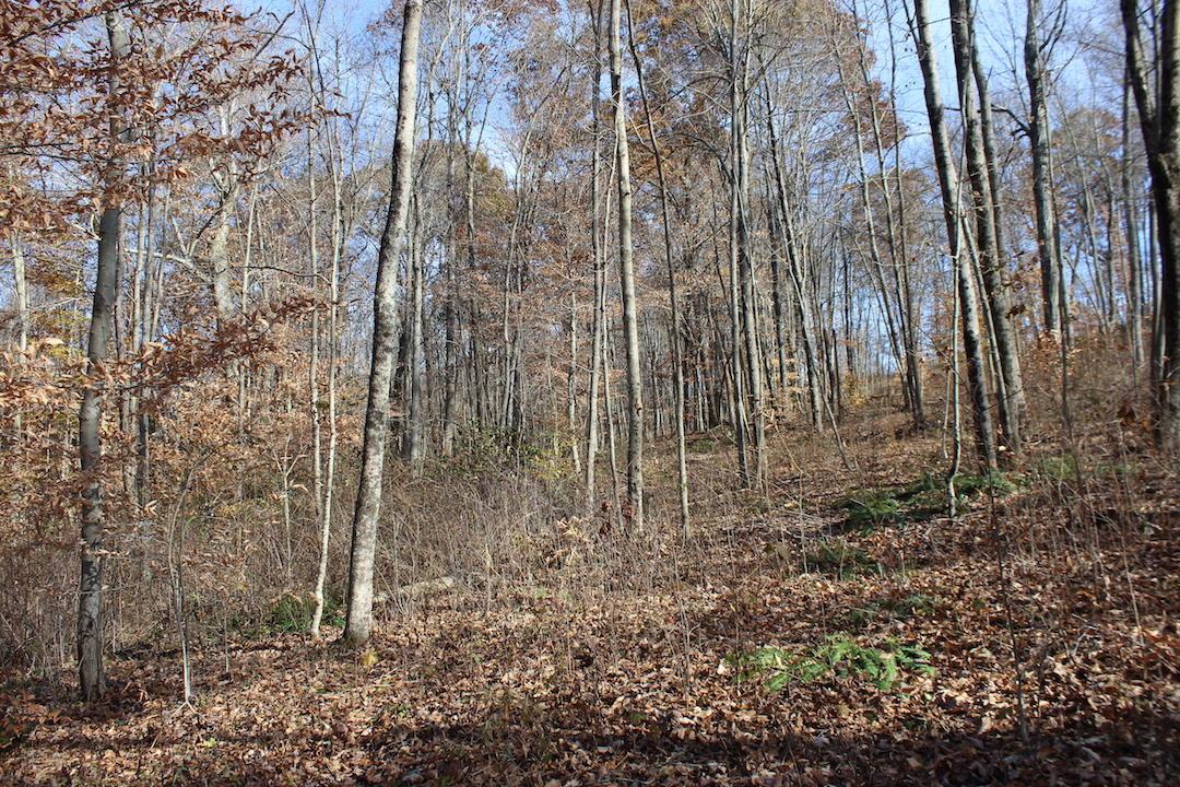 0 Ford Rd Mount Zanesville, OH 43701 - Photo 18 of 35