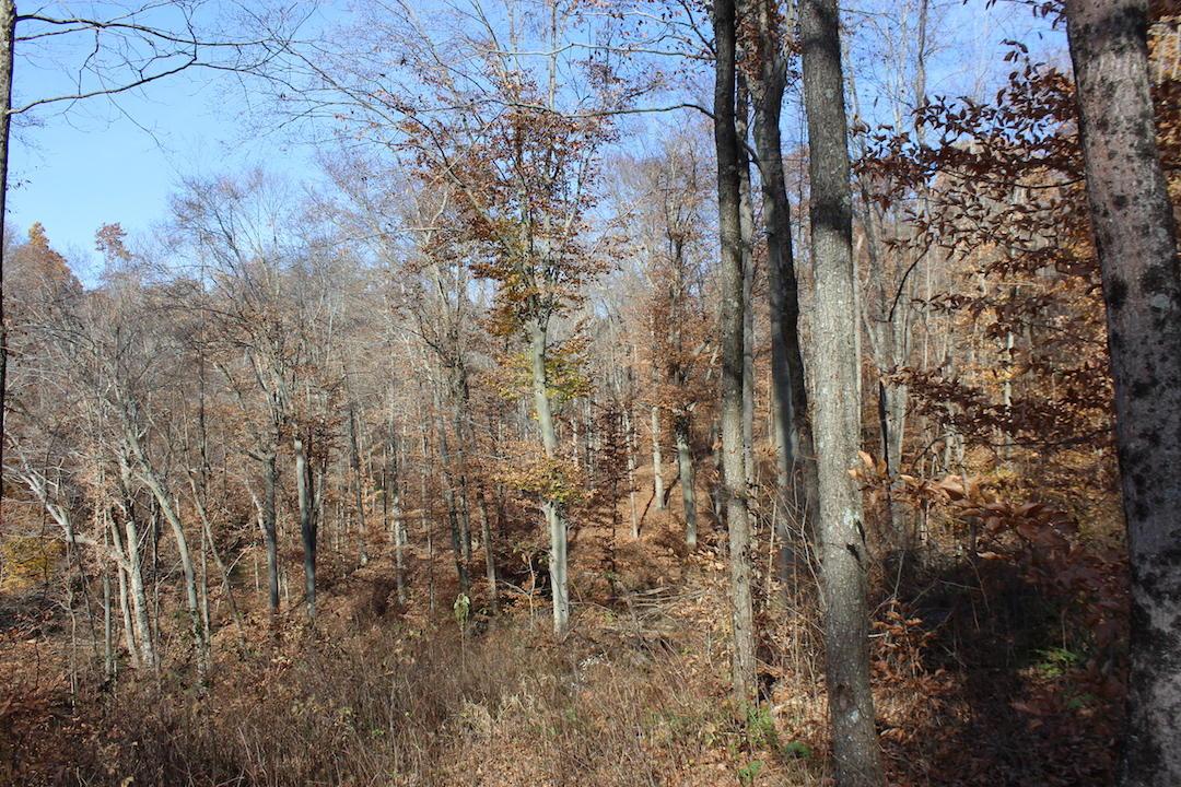 0 Ford Rd Mount Zanesville, OH 43701 - Photo 19 of 35
