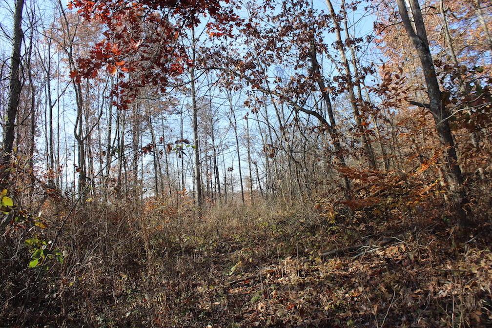 0 Ford Rd Mount Zanesville, OH 43701 - Photo 21 of 35