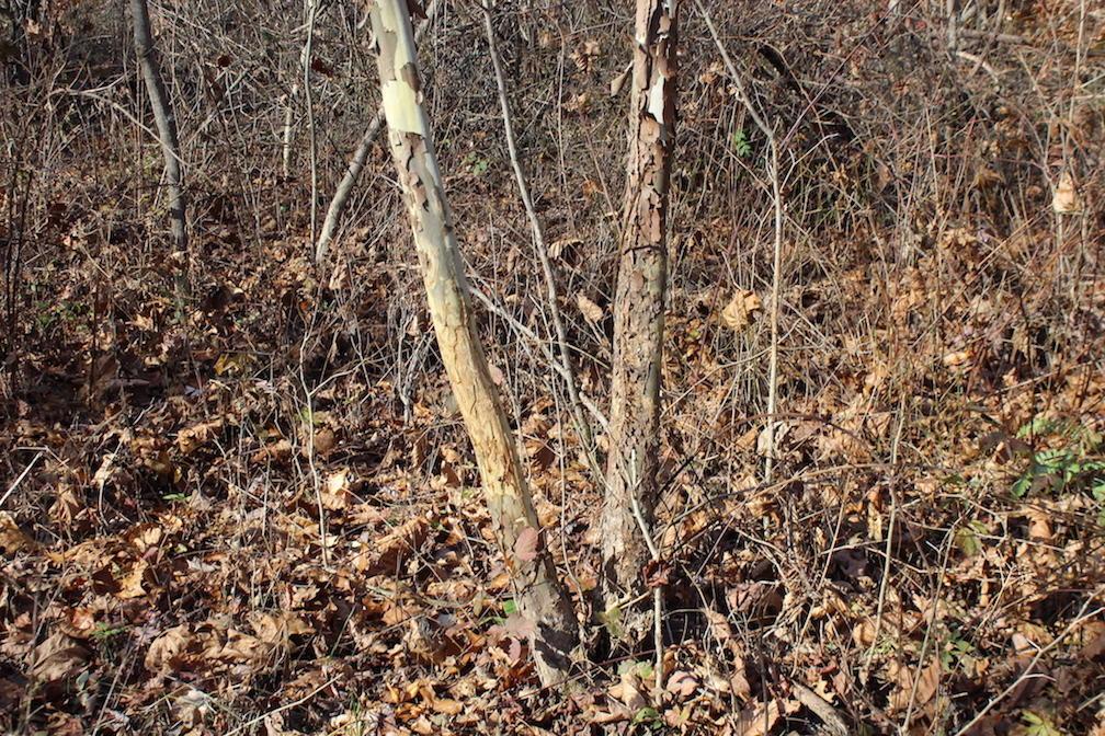 0 Ford Rd Mount Zanesville, OH 43701 - Photo 23 of 35