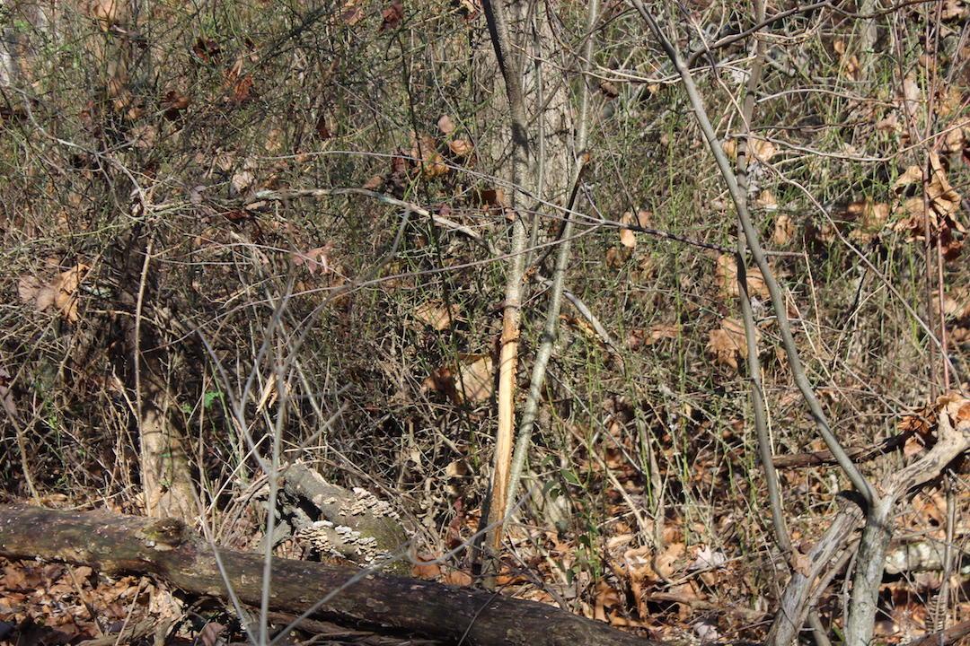 0 Ford Rd Mount Zanesville, OH 43701 - Photo 24 of 35