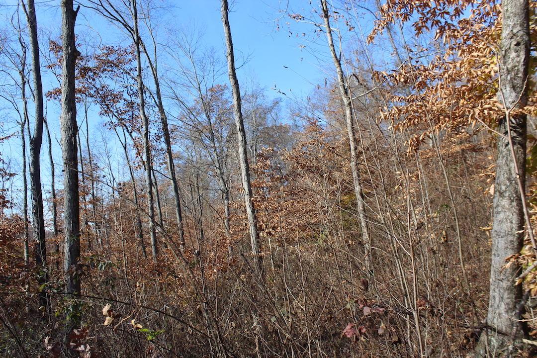 0 Ford Rd Mount Zanesville, OH 43701 - Photo 25 of 35