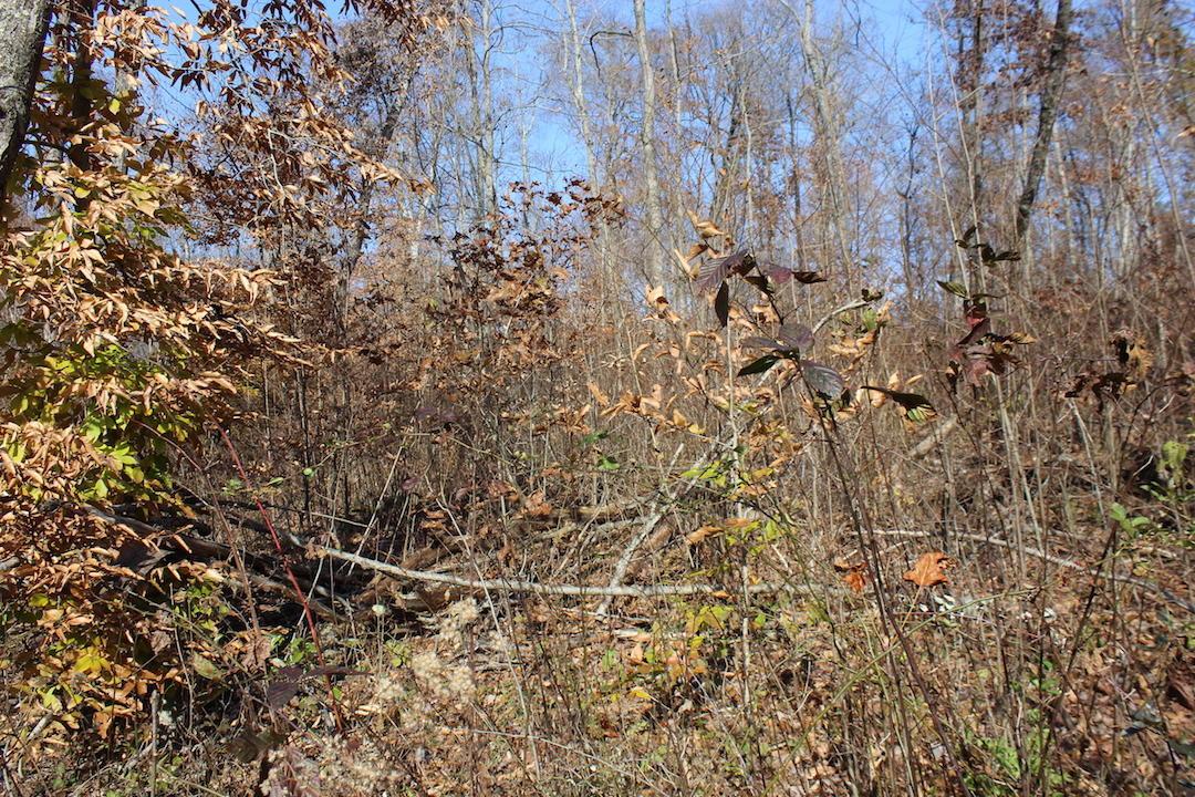 0 Ford Rd Mount Zanesville, OH 43701 - Photo 26 of 35