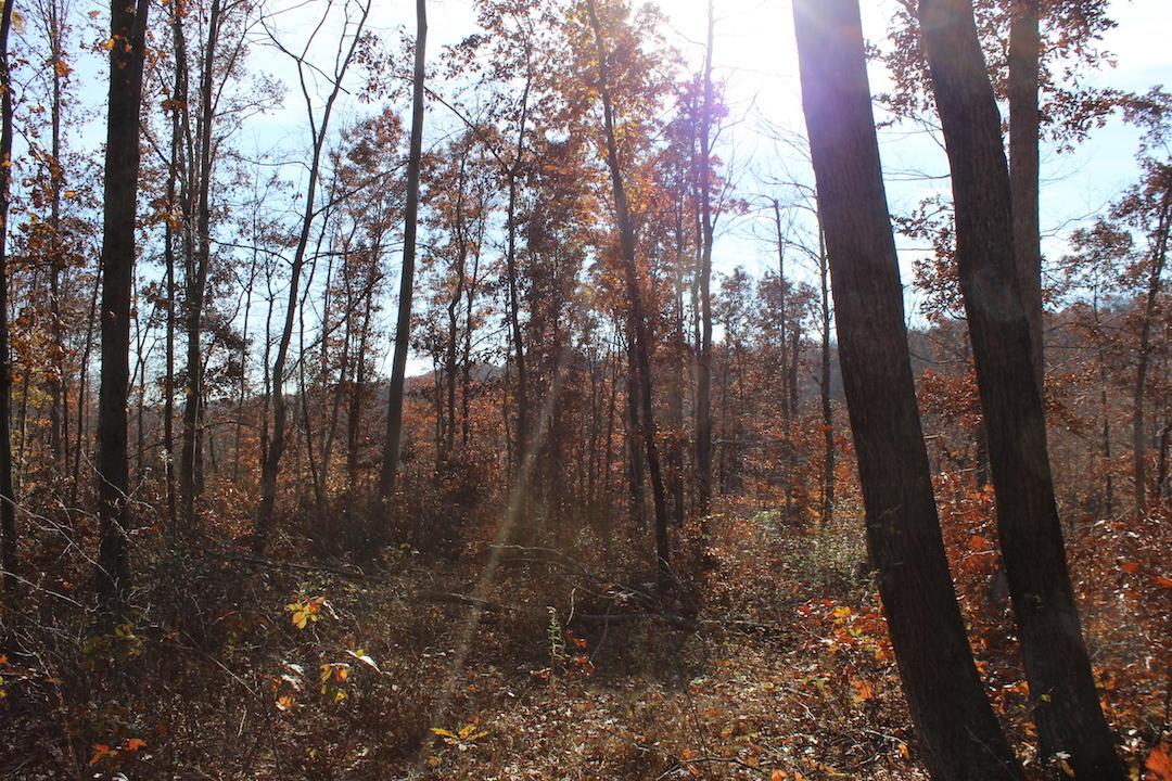 0 Ford Rd Mount Zanesville, OH 43701 - Photo 27 of 35