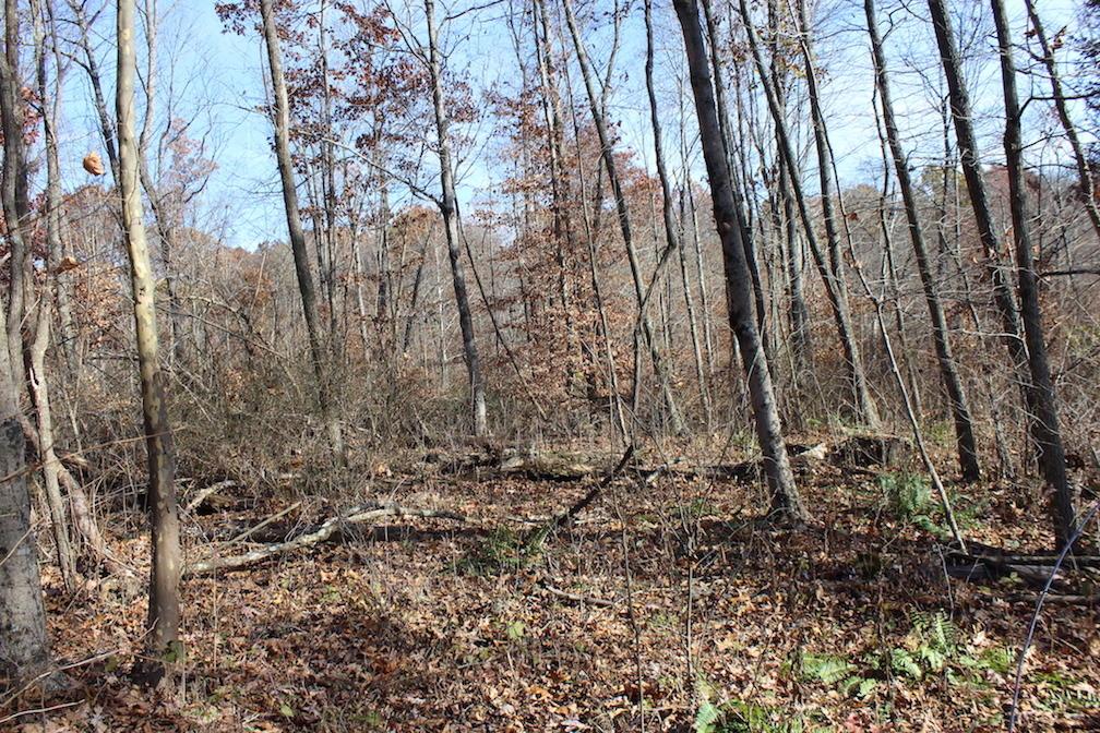 0 Ford Rd Mount Zanesville, OH 43701 - Photo 28 of 35